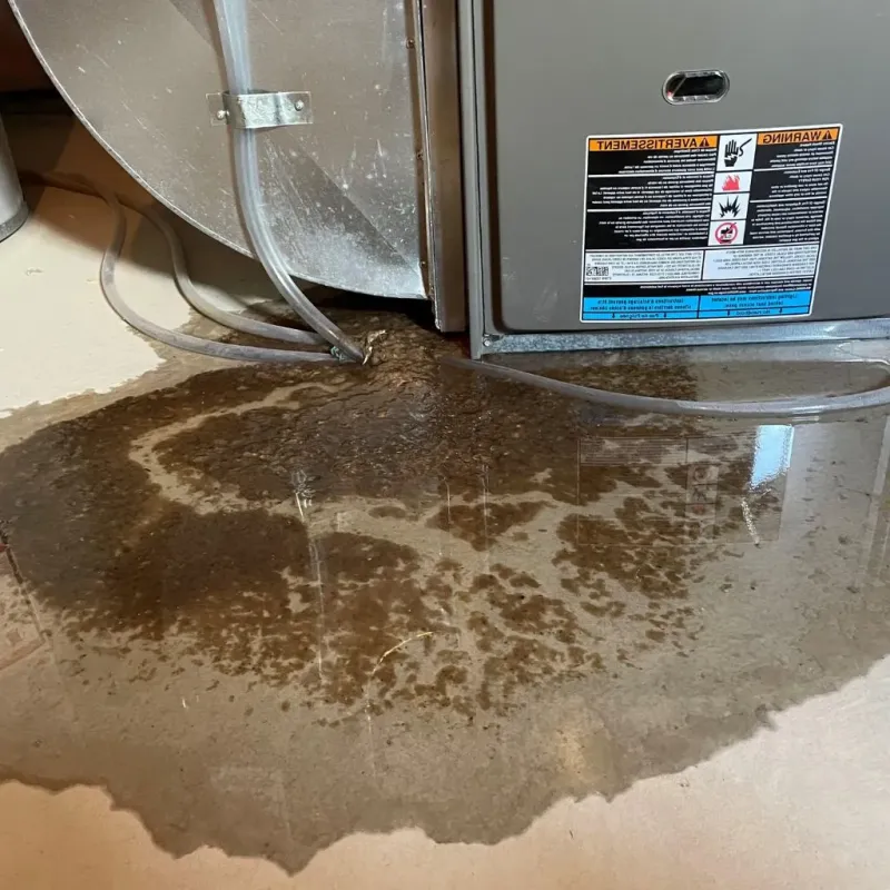 Pipe Burst and Leak Restoration in Maricao, PR